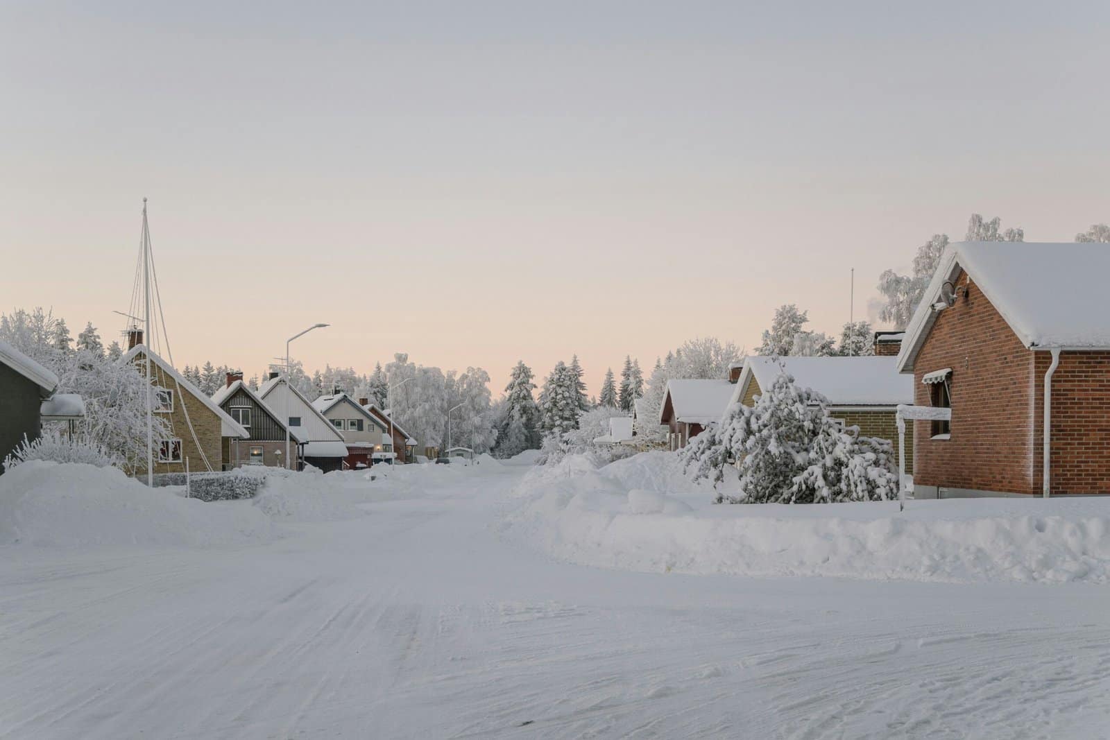 Snow-covered suburban street at dusk with houses and frosty trees.