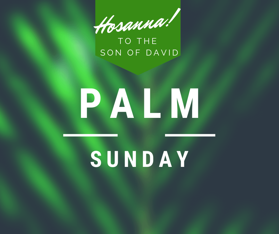 Palm Sunday text on a background of blurred green palm leaves.