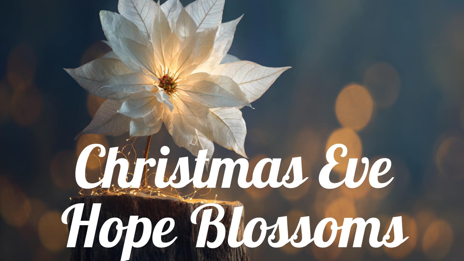 Christmas Eve: Hope Blossoms